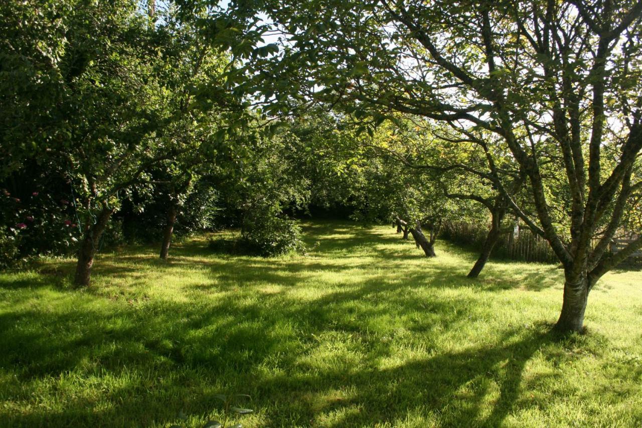 Les Gites D'Hellen Logonna-Daoulas Buitenkant foto
